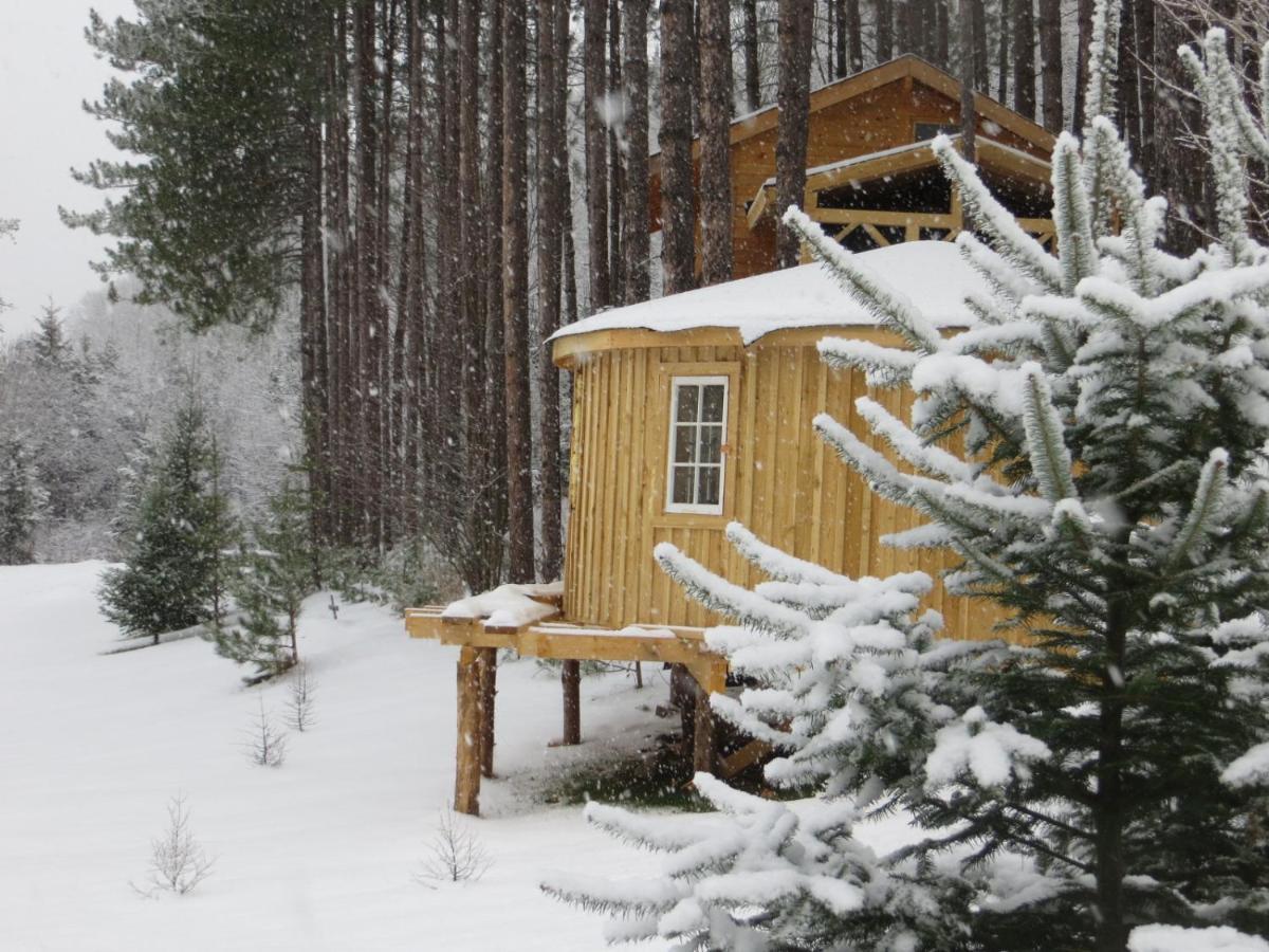 La Maison Sous Les Arbres Saint Roch de Mekinac Luaran gambar